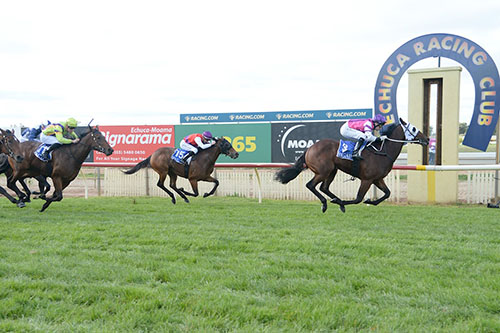 IMMORTAL LOVE IMPRESSES ON DEBUT..